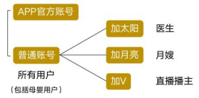 用戶賬號(hào)分類及各角色權(quán)益